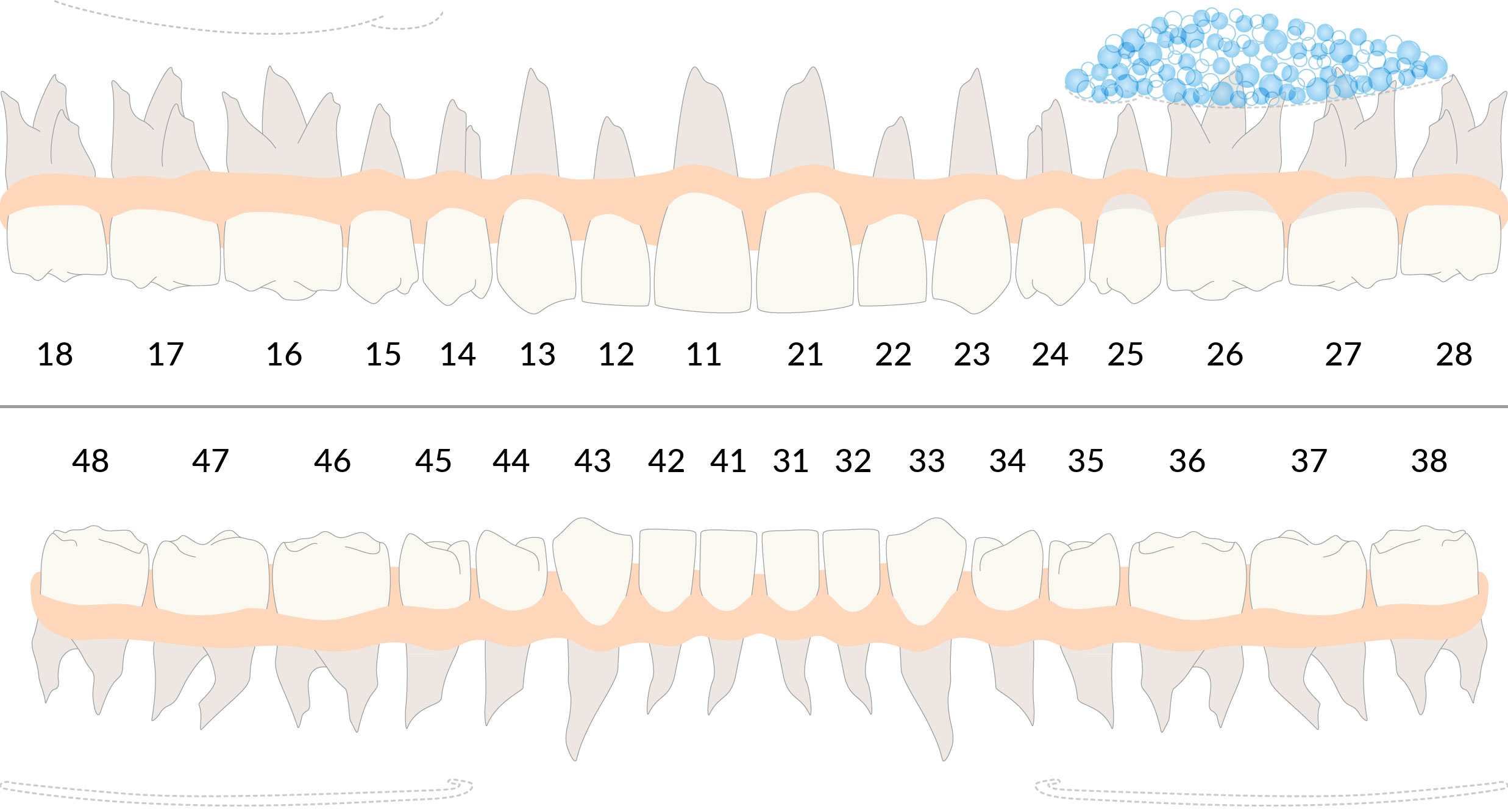 Piani di trattamento chirurgia orale con il software per dentisti DentalOpera